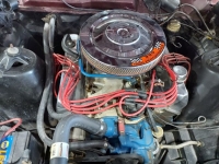 1966 Ford Fairlane for sale in Michigan (ID-120420)