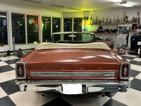 1966 Ford Fairlane for sale in Michigan (ID-123665)