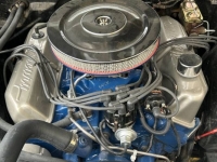 1966 Ford Fairlane for sale in Michigan (ID-125954)