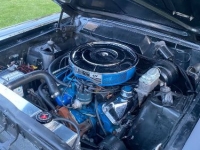 1966 Ford Fairlane for sale in Michigan (ID-130448)