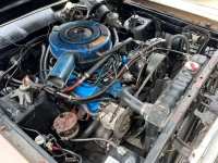 1966 Ford Fairlane for sale in Michigan (ID-136924)