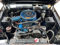 1966 Ford Fairlane for sale in Michigan (ID-136924)