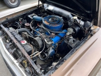 1966 Ford Fairlane for sale in Michigan (ID-136924)