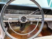 1966 Ford Fairlane for sale in Michigan (ID-136924)