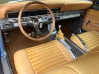 1966 Ford Fairlane for sale in Michigan (ID-162890)