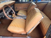 1966 Ford Fairlane for sale in Michigan (ID-162890)