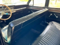1966 Ford Fairlane 500 for sale in Michigan (ID-119375)