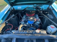 1966 Ford Fairlane 500 for sale in Michigan (ID-125855)