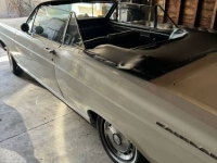 1966 Ford Fairlane 500 for sale in Michigan (ID-142368)