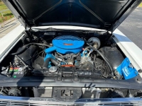 1966 Ford Galaxie for sale in Michigan (ID-126026)