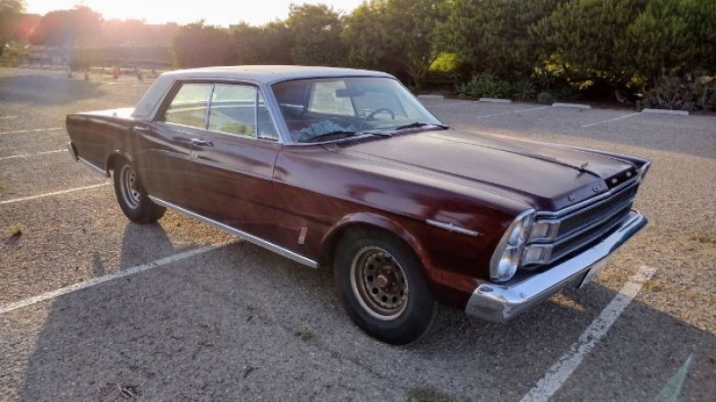 1966 Ford Galaxie for sale in Michigan (ID-133145)