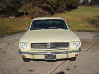 1966 Ford Mustang for sale in Michigan (ID-94343)