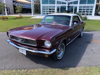 1966 Ford Mustang for sale