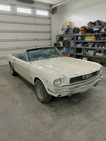 1966 Ford Mustang for sale in Michigan (ID-102561) 1966 Ford Mustang for sale in Michigan (ID-102561)