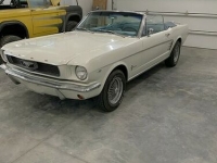 1966 Ford Mustang for sale in Michigan (ID-102561)