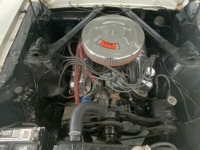 1966 Ford Mustang for sale in Michigan (ID-102561)