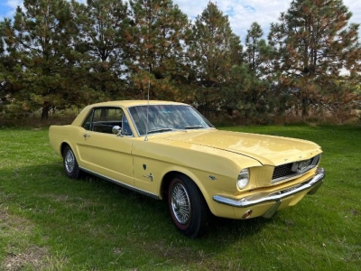 1966 Ford Mustang for sale