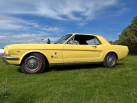 1966 Ford Mustang for sale in Michigan (ID-104702)