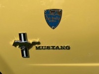 1966 Ford Mustang for sale in Michigan (ID-104702)
