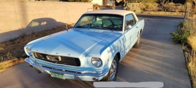 1966 Ford Mustang for sale in Michigan (ID-108635)