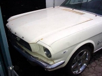 1966 Ford Mustang for sale in Michigan (ID-112969)