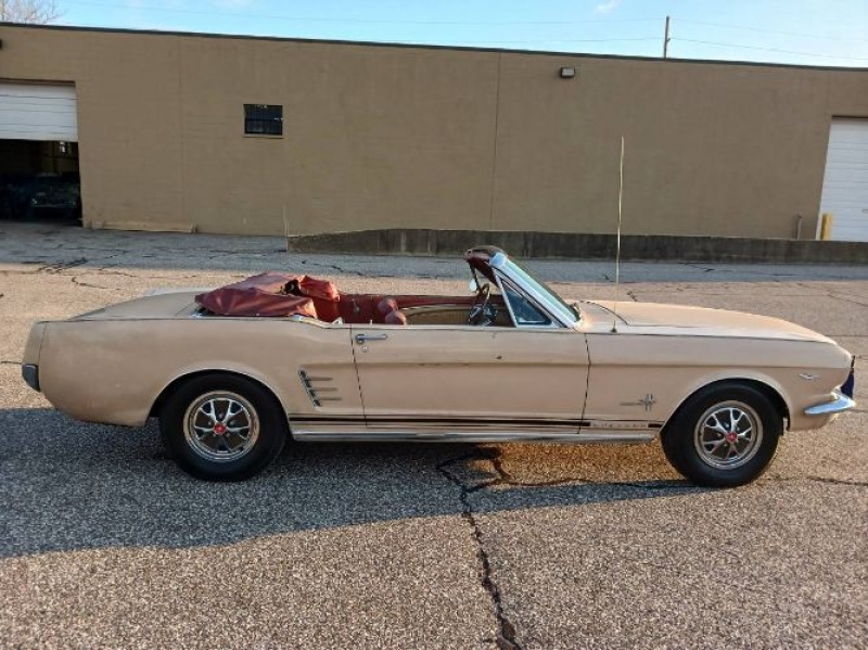 1966 Ford Mustang for sale in Michigan (ID-113286)