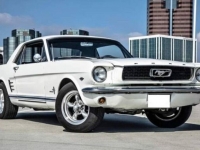 1966 Ford Mustang for sale in Michigan (ID-113792)