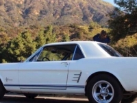 1966 Ford Mustang for sale in Michigan (ID-113792)