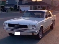 1966 Ford Mustang for sale in Michigan (ID-113792)