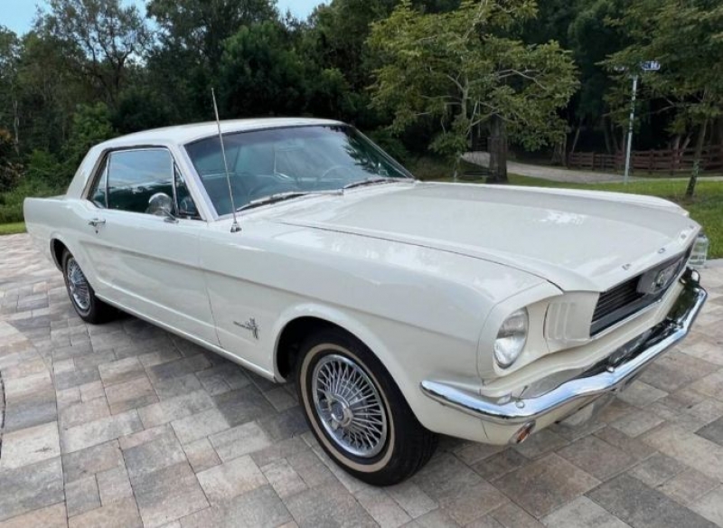1966 Ford Mustang for sale in Michigan (ID-114056)