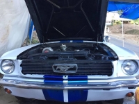 1966 Ford Mustang for sale in Michigan (ID-114395)