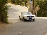 1966 Ford Mustang for sale in Michigan (ID-114395)