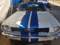 1966 Ford Mustang for sale in Michigan (ID-114395)