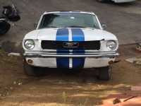 1966 Ford Mustang for sale in Michigan (ID-114395)