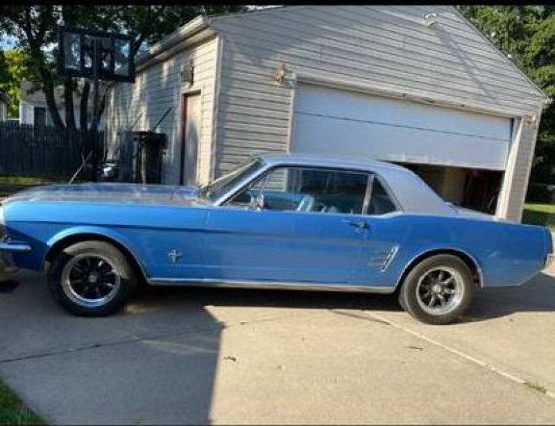 1966 Ford Mustang for sale in Michigan (ID-115501)