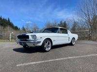 1966 Ford Mustang for sale in Michigan (ID-116094)