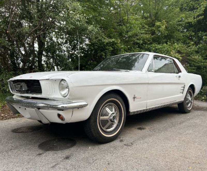 1966 Ford Mustang for sale in Michigan (ID-116552)