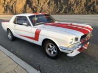 1966 Ford Mustang for sale in Michigan (ID-117137)