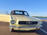 1966 Ford Mustang for sale in Michigan (ID-118011)