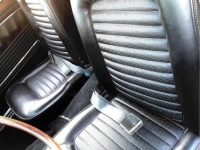 1966 Ford Mustang for sale in Michigan (ID-118154)
