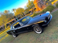 1966 Ford Mustang for sale in Michigan (ID-118154)