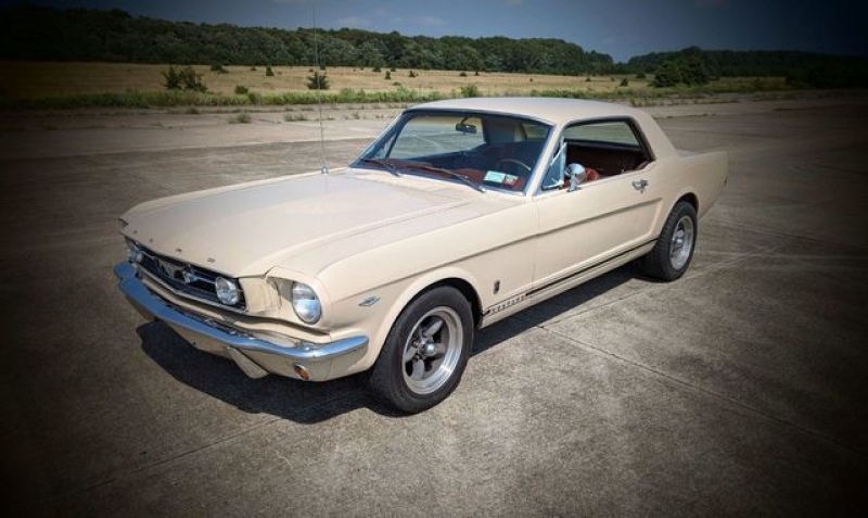 1966 Ford Mustang for sale in Riverhead, New York (ID-119151)