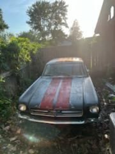 1966 Ford Mustang for sale in Michigan (ID-120048)