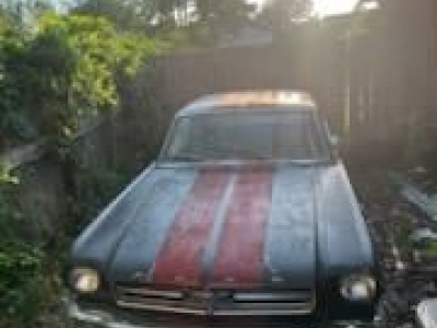 1966 Ford Mustang for sale