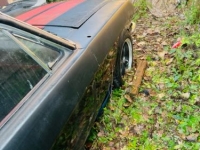 1966 Ford Mustang for sale in Michigan (ID-120048)
