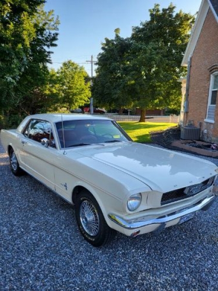 1966 Ford Mustang for sale in Michigan (ID-121689)