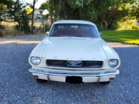 1966 Ford Mustang for sale in Michigan (ID-121689)