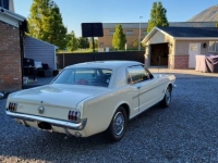 1966 Ford Mustang for sale in Michigan (ID-121689)
