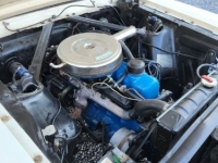 1966 Ford Mustang for sale in Michigan (ID-121689)