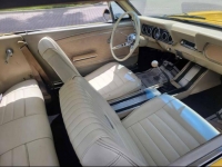 1966 Ford Mustang for sale in Michigan (ID-122389)
